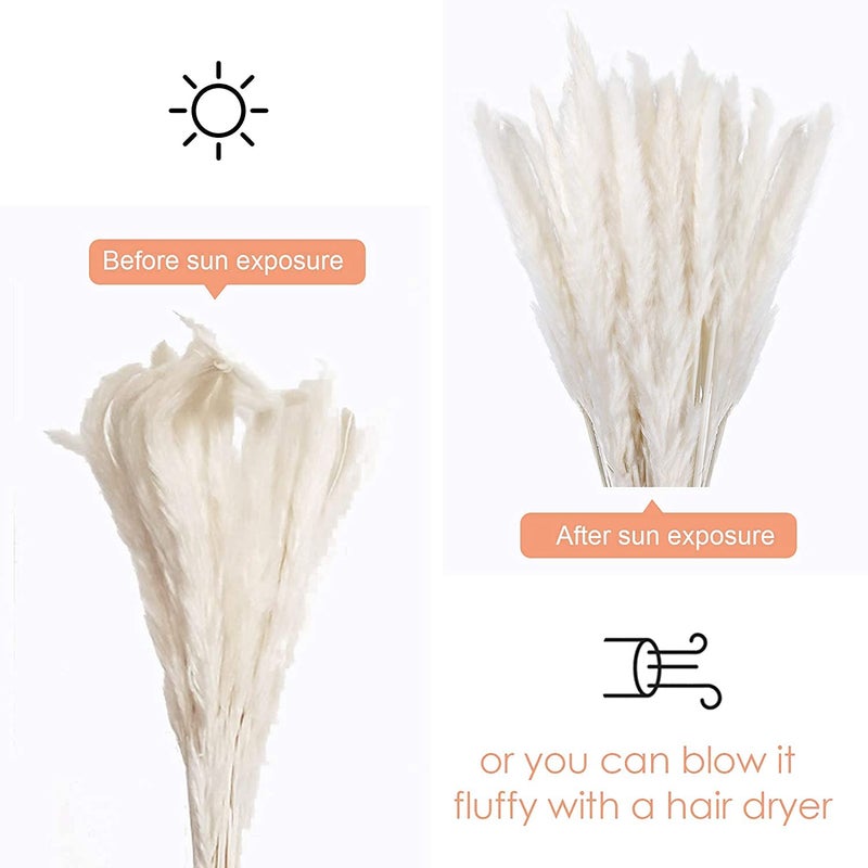 Comtelek 30 Pcs White Pampas Grass ,17 inch/45 cm Natural Dried Pampas Grass Branches Decor for Home Kitchen Garden Party Photographing Flower Arrangement Vase Decor（White - Image 2
